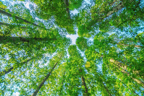 Kako ogrevanje s klimatsko napravo zmanjšuje naš osebni ogljični odtis?